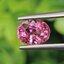 พลอย ทัวร์มารีน (Tourmaline) 1.63 กะรัต (Cts.) อัญมณีมงคลประจําวันเกิด เครื่องประดับพลอย