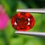 พลอย ทับทิม ซองเจีย Songea Ruby Sapphire 1.09 กะรัต (Cts.) พลอยแท้ อัญมณีมงคลประจําวันเกิด เครื่องประดับพลอย