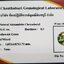 พลอย อเล็กซานไดร์ (Natural Alexandrite Chrysoberyl) เจ้าสามสี 0.41 กะรัต (Cts.) พร้อมใบเซอร์ พลอยแท้ อัญมณีมงคลประจําวันเกิด เครื่องประดับพลอย