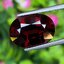 พลอย โกเมน Pyrope - Almandite Garnet 9.33 กะรัต (Cts.) พร้อมใบเซอร์ พลอยแท้ อัญมณีมงคลประจําวันเกิด เครื่องประดับพลอย