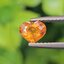 พลอย บุษราคัม yellow sapphire 0.80 กะรัต (Cts.) พลอยแท้ อัญมณีมงคลประจําวันเกิด เครื่องประดับพลอย