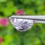 พลอย คุนไซท์ Kunzite 5.13 กะรัต (Cts.) พลอยแท้ อัญมณีมงคลประจําวันเกิด เครื่องประดับพลอย