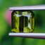 พลอย กรีน ทัวร์มารีน (Green Tourmaline) 0.96 กะรัต (Cts.) อัญมณีมงคลประจําวันเกิด เครื่องประดับพลอย
