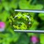 พลอย เพอริดอต Peridot 4.76 กะรัต (Cts.) พลอยแท้ อัญมณีมงคลประจําวันเกิด เครื่องประดับพลอย