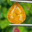 พลอย บุษราคัม Yellow Sapphire 8.04 กะรัต (Cts.) พร้อมใบเซอร์ พลอยแท้ อัญมณีมงคลประจําวันเกิด เครื่องประดับพลอย