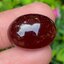 พลอย โกเมน Garnet 21.26 กะรัต (Cts.) พลอยแท้ อัญมณีมงคลประจําวันเกิด เครื่องประดับพลอย
