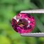 พลอย อุมบาไลต์ การ์เน็ต Umbalite Garnet 1.68 กะรัต (Cts.) ดิบ Unheated พร้อมใบเซอร์ ลอยแท้ อัญมณีมงคลประจําวันเกิด เครื่องประดับพลอย