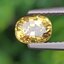 พลอย บุษราคัม yellow sapphire 1.17 กะรัต (Cts.) ดิบ (Unheated) พร้อมใบเซอร์ พลอยแท้ อัญมณีมงคลประจําวันเกิด เครื่องประดับพลอย
