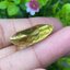 พลอย เลมอนควอตซ์ Lemon Quartz 30.84 กะรัต (Cts.)