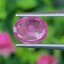 พลอย ชมพู พิ้ง แซฟไฟร์ Pink Sapphire 2.55 กะรัต (Cts.) พลอยแท้ อัญมณีมงคลประจําวันเกิด เครื่องประดับพลอย