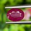 พลอย ทับทิม พม่า (Burmese Ruby Sapphire) 1.45 กะรัต พลอยแท้ อัญมณีมงคลประจําวันเกิด เครื่องประดับพลอย