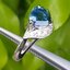 แหวน พลอย ไพลิน Blue Sapphire Ring (Size) 53