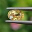 พลอย บุษราคัม yellow sapphire 1.11 กะรัต (Cts.) ดิบ (Unheated) พลอยแท้ อัญมณีมงคลประจําวันเกิด เครื่องประดับพลอย