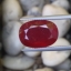พลอย ทับทิม Ruby sapphire 12.50 กะรัต (Cts.) พลอยแท้ อัญมณีมงคลประจําวันเกิด เครื่องประดับพลอย