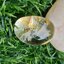 โป่งข่าม ควอตซ์ Rutilated Quartz 49.15 กะรัต Cts. พลอยแท้ อัญมณีมงคลประจําวันเกิด เครื่องประดับพลอย