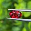 พลอย ทับทิม ซองเจีย (Songea Ruby Sapphire) 1.02 กะรัต (Cts.) *สี VIVID RED พร้อมใบเซอร์ (With Certificate) พลอยแท้ อัญมณีมงคลประจําวันเกิด เครื่องประดับพลอย