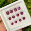 พลอย ทับทิม สยาม Siam Ruby sapphire 13 เม็ด 5.94 กะรัต (Cts.) พลอยแท้ อัญมณีมงคลประจําวันเกิด เครื่องประดับพลอย