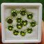 พลอย เพอริดอต Peridot 11.07 กะรัต (Cts.) 12 เม็ด (pcs.) พลอยแท้ อัญมณีมงคลประจําวันเกิด เครื่องประดับพลอย