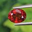 พลอย สเปสซาร์ไทต์ Spessartite Garnet 1.44 กะรัต Cts.พลอยแท้ อัญมณีมงคลประจําวันเกิด เครื่องประดับพลอย