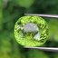 พลอย พาไรบ้า ทัวร์มาลีน Paraiba Tourmaline 11.02 กะรัต (Cts.) *สีพิเศษ เขียวนีออน neon green พร้อมใบเซอร์ พลอยแท้อัญมณีมงคล ประจําวันเกิด เครื่องประดับพลอย