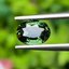 พลอย เขียวส่อง Green Sapphire ดิบ Unheated 1.19 กะรัต (Cts.) พลอยแท้ อัญมณีมงคลประจําวันเกิด เครื่องประดับพลอย