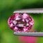 พลอย ชมพู พิ้ง แซฟไฟร์ Pink Sapphire 0.80 กะรัต (Cts.) พลอยแท้ อัญมณีมงคลประจําวันเกิด เครื่องประดับพลอย