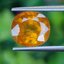 พลอย บุษราคัม Yellow Sapphire 4.66 กะรัต (Cts.) พลอยแท้ อัญมณีมงคลประจําวันเกิด เครื่องประดับพลอย