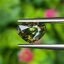 พลอย เขียวส่อง (Yellowish Green Sapphire) 1.58 กะรัต (Cts.) ดิบ (Unheated) พร้อมใบเซอร์ พลอยแท้ อัญมณีมงคลประจําวันเกิด เครื่องประดับพลอย