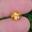 พลอย บุษราคัม yellow sapphire 3.08 กะรัต (Cts.) พลอยแท้ อัญมณีมงคลประจําวันเกิด เครื่องประดับพลอย