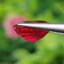 พลอย ทับทิม Ruby sapphire 2.69 กะรัต (Cts.) พลอยแท้ อัญมณีมงคลประจําวันเกิด เครื่องประดับพลอย
