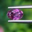 พลอย ม่วง แซฟไฟร์ Violet Purple Sapphire ดิบ Unheated 0.90 กะรัต (Cts.) พลอยแท้ อัญมณีมงคลประจําวันเกิด เครื่องประดับพลอย
