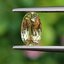 พลอย บุษราคัม yellow sapphire 1.24 กะรัต (Cts.) ดิบ (Unheated) พลอยแท้ อัญมณีมงคลประจําวันเกิด เครื่องประดับพลอย