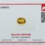 พลอย บุษราคัม Yellow Sapphire 1.04 กะรัต (Cts.) พร้อมใบเซอร์ พลอยแท้ อัญมณีมงคลประจําวันเกิด เครื่องประดับพลอย
