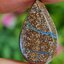 พลอย โบลเดอร์ โอปอล ออสเตรเลีย Australian Boulder Opal 10.30 กะรัต (Cts.) พลอยแท้ อัญมณีมงคลประจําวันเกิด เครื่องประดับพลอย