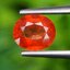พลอย บุษราคัม Yellow Sapphire 1.19 กะรัต (Cts.) พลอยแท้ อัญมณีมงคลประจําวันเกิด เครื่องประดับพลอย