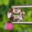 พลอย เพทาย (Zircon) 2.41 กะรัต (Cts.) พลอยแท้ อัญมณีมงคลประจําวันเกิด เครื่องประดับพลอย