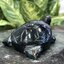 หยกแกะสลัก เต่า หยก พม่า แท้ (Burmese jadeite)