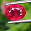 พลอย ทับทิม Ruby sapphire 2.69 กะรัต (Cts.) พลอยแท้ อัญมณีมงคลประจําวันเกิด เครื่องประดับพลอย