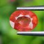 พลอย บุษราคัม Yellow Sapphire 1.63 กะรัต (Cts.) พลอยแท้ อัญมณีมงคลประจําวันเกิด เครื่องประดับพลอย