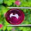 พลอย ทับทิม (Ruby Sapphire) 14.25 กะรัต (Cts.) พลอยแท้ อัญมณีมงคลประจําวันเกิด เครื่องประดับพลอย