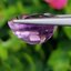 พลอย อเมทิส Amethyst 9.01 กะรัต (Cts.) พลอยแท้ อัญมณีมงคลประจําวันเกิด เครื่องประดับพลอย