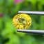 พลอย บุษราคัม Yellow Sapphire 1.43 กะรัต (Cts.) พลอยแท้ อัญมณีมงคลประจําวันเกิด เครื่องประดับพลอย