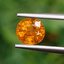 พลอย บุษราคัม yellow sapphire 1.12 กะรัต (Cts.) พลอยแท้ อัญมณีมงคลประจําวันเกิด เครื่องประดับพลอย