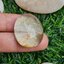 โป่งข่าม ควอตซ์ Rutilated Quartz 61.87 กะรัต Cts. พลอยแท้ อัญมณีมงคลประจําวันเกิด เครื่องประดับพลอย