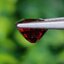 พลอย สปิเนล (Spinel) 1.70 กะรัต (Cts.) ดิบ (Unheated) พลอยแท้ อัญมณีมงคลประจําวันเกิด เครื่องประดับพลอย