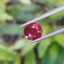 พลอย ทับทิม Ruby sapphire 0.98 กะรัต (Cts.) ดิบ Unheated พร้อมใบเซอร์ พลอยแท้ อัญมณีมงคลประจําวันเกิด เครื่องประดับพลอย