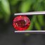 พลอย ทับทิม ซองเจีย Songea Ruby Sapphire 1.63 กะรัต (Cts.) พร้อมใบเซอร์ พลอยแท้ อัญมณีมงคลประจําวันเกิด เครื่องประดับพลอย