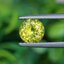 พลอย คริโซเบริล (Chrysoberyl) 1.22 กะรัต (Cts.) พลอยแท้ อัญมณีมงคลประจําวันเกิด เครื่องประดับพลอย