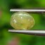 พลอย ตาแมว คริโซเบริล Cat eye Chrysoberyl 1.45 กะรัต (Cts.) พลอยแท้ อัญมณีมงคลประจําวันเกิด เครื่องประดับพลอย
