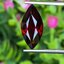 พลอย โกเมน Pyrope - Almandite Garnet 5.50 กะรัต (Cts.) พลอยแท้ อัญมณีมงคลประจําวันเกิด เครื่องประดับพลอย